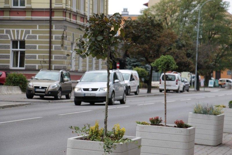 <br/>fot.Renata Pęcak
