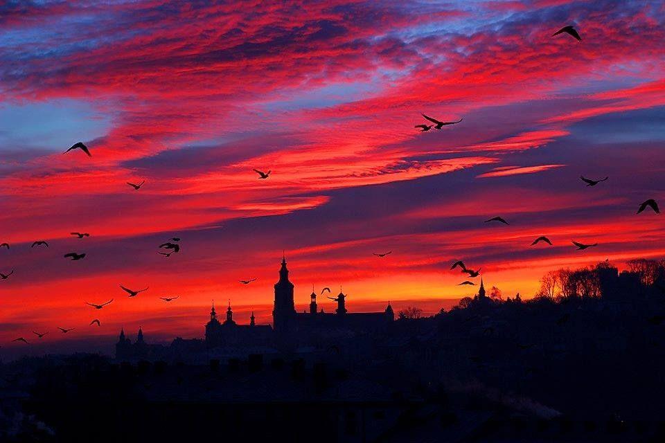 <br/>fot.Mirek Halwa
