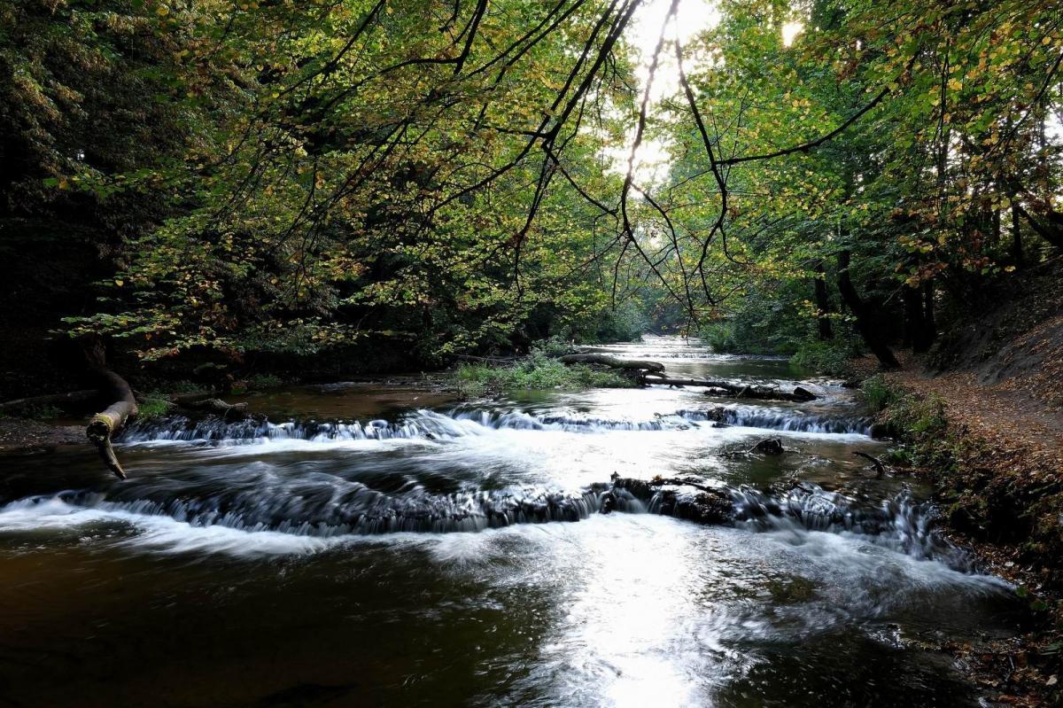 <br/>fot.zbiory własne