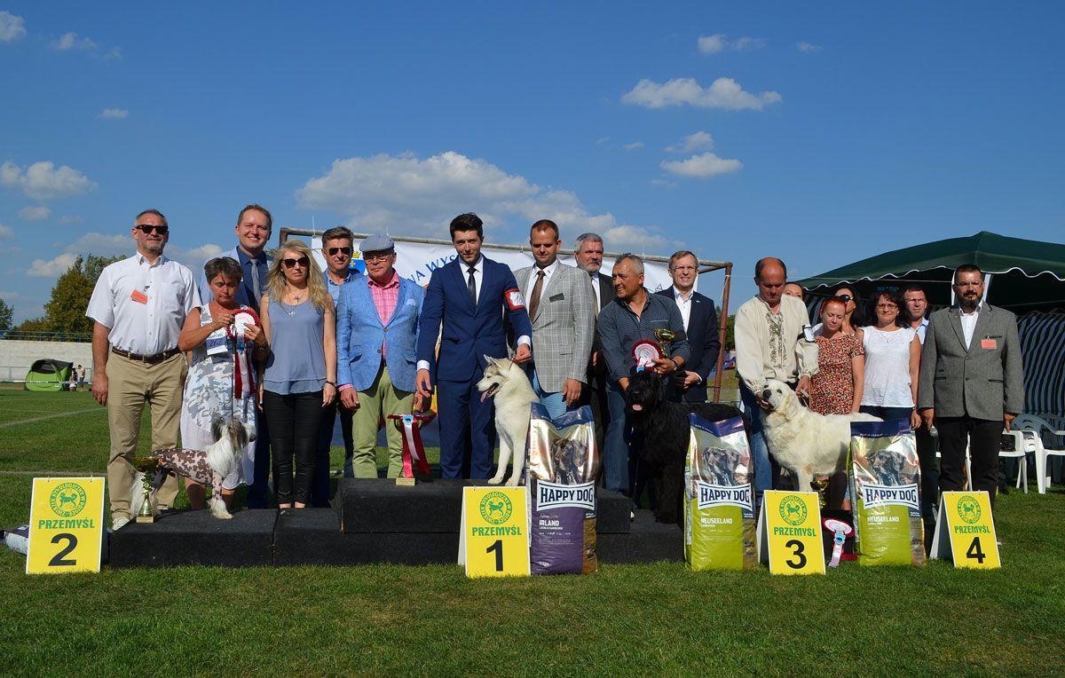 Psie piękności – zwycięzcy w kategorii Best in Show oraz przedstawiciele Przemyskiego Oddziału Związku Kynologicznego w Polsce, sędziowie, wiceprezydent Grzegorz Hayder.<br/>fot.Aleksandra Białoń