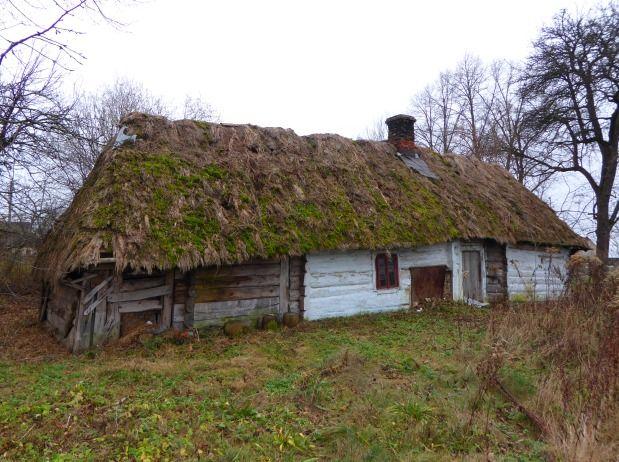 Do miniskansenu w Nowym Bruśnie trafi m.in. ponadstuletnia chata kryta strzechą, którą jeszcze pięć lat temu zamieszkiwał prywatny właściciel.<br/>fot.www.horyniec.info.pl