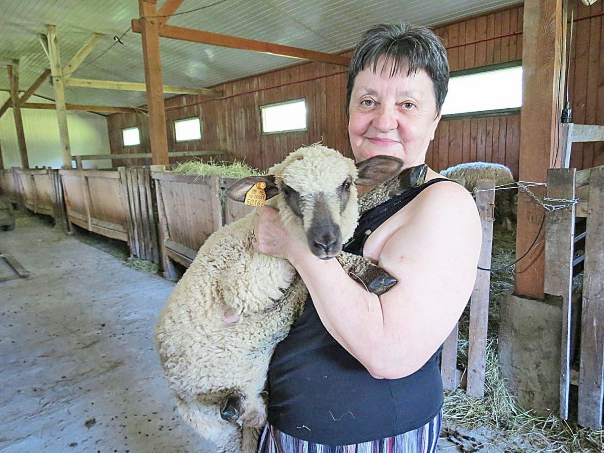 Stanisława Rudnicka z Cieplic przyznaje, że czuje się zobowiązana, aby poinformować i przestrzec innych hodowców.<br/>fot.Barbara Chmura