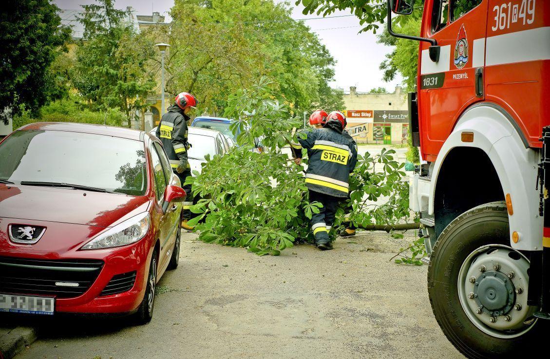<br/>fot.ze zbiorów własnych