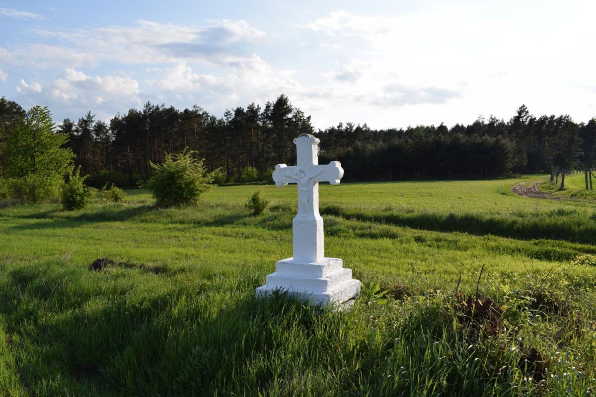 Krzyż na polach – znajduje się na polach Łówczy, postawiony w 1878 r.<br/>fot.Grzegorz Ciećka