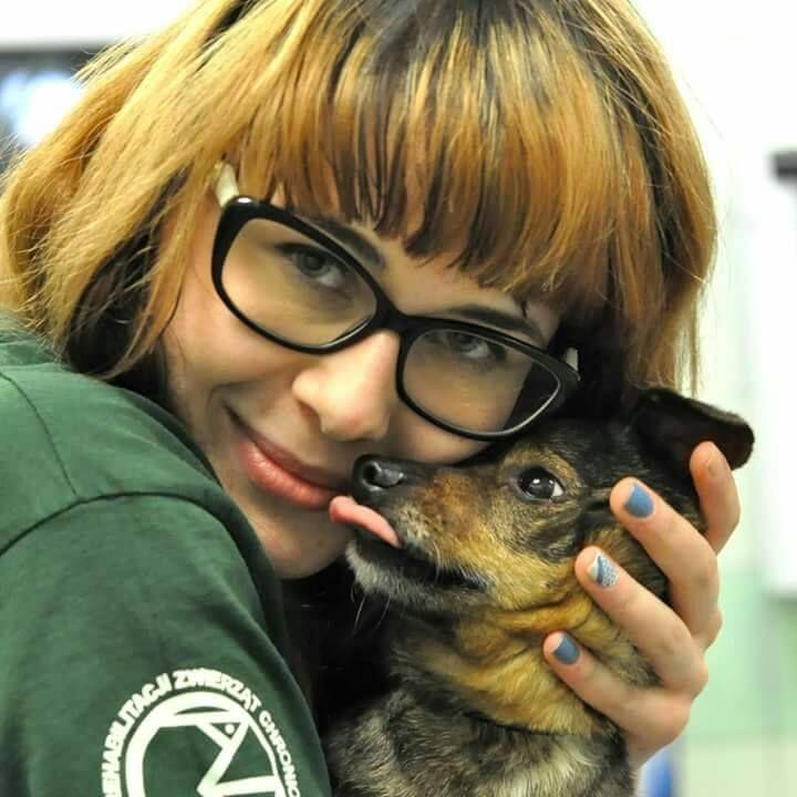 fot.Centrum Adopcyjne Lecznicy Ada