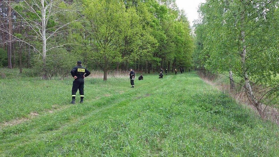Poszukiwania w maju 2015 r.<br/>fot.Rafał Morawski