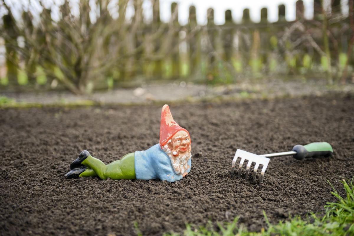 Marzec na działce to dla wielu działkowców najbardziej pracowity czas w sezonie