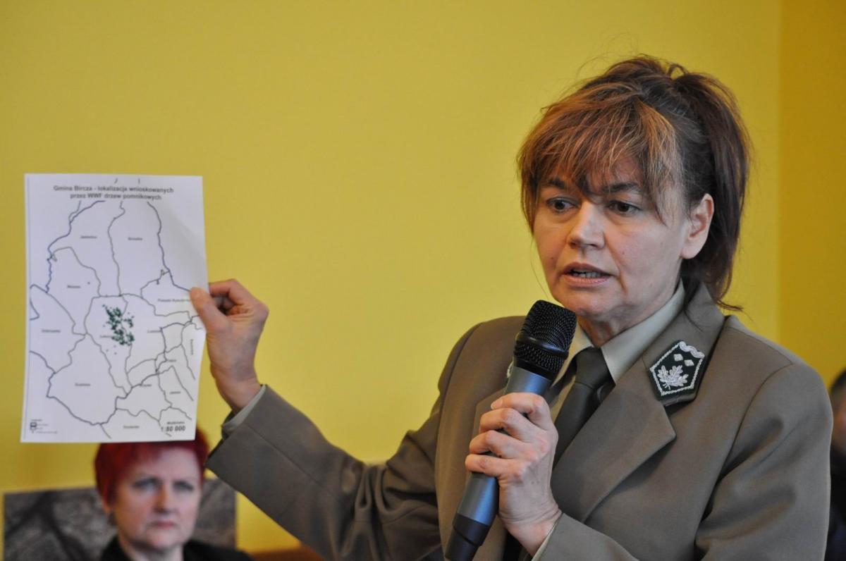 Zastępca nadleśniczego Nadleśnictwa Bircza Urszula Kapuścińska pokazała mapkę ukazującą, gdzie występują drzewa wskazane do ustanowienia jako pomniki przyrody. Stwierdziła, że ich liczba potwierdza, że nie są to drzewa wyróżniające się spośród innych.<br/>fot.Paweł Bugira