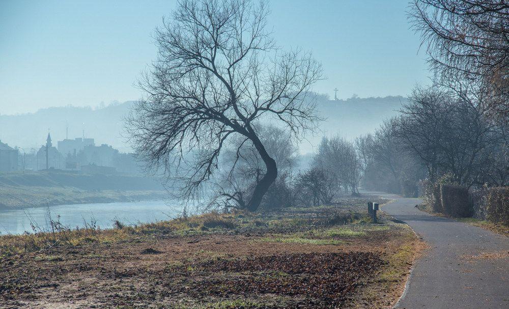 W kilku miejscach brakuje właściwego oznakowania jednoznacznie wskazującego, że mamy do czynienia z drogą dla rowerów (znaki poziome powinny się znajdować co 50 metrów, a przy wszelkich wjazdach, zjazdach i skrzyżowaniach powinny być także znaki pionowe informacyjne lub zakazu).<br/>fot.Kamil Jacek 