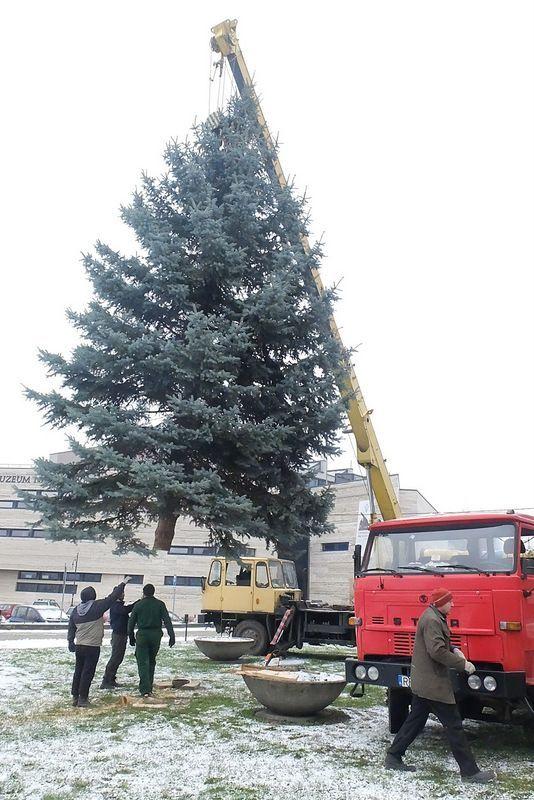 Pracownicy firmy Acer stawiają na Rybim Placu piętnastometrową choinkę. <br/>fot.Jacek Szwic