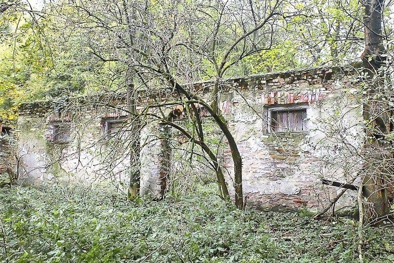 Po folwarku Leoncina zostały tylko ruiny stodoły, pod którą w podziemnym bunkrze ukrywali się Żydzi.<br/>fot.Jacek Szwic