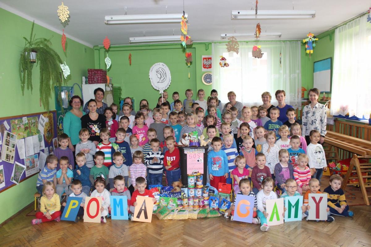 Nauczyciele, rodzice i przedszkolaki od samego początku mocno zaangażowali się w akcję pomocy bezdomnym zwierzętom z Orzechowiec.<br/>fot.ze zbiorów własnych