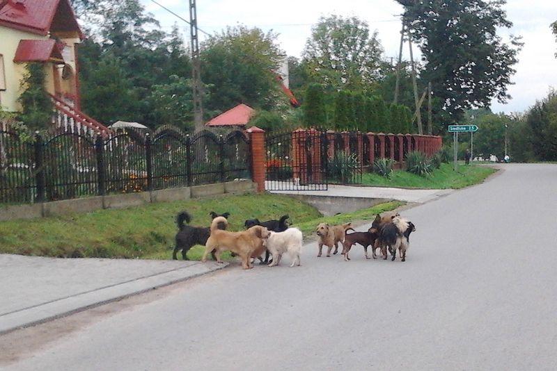 <br/>fot.ze zbiorów własnych