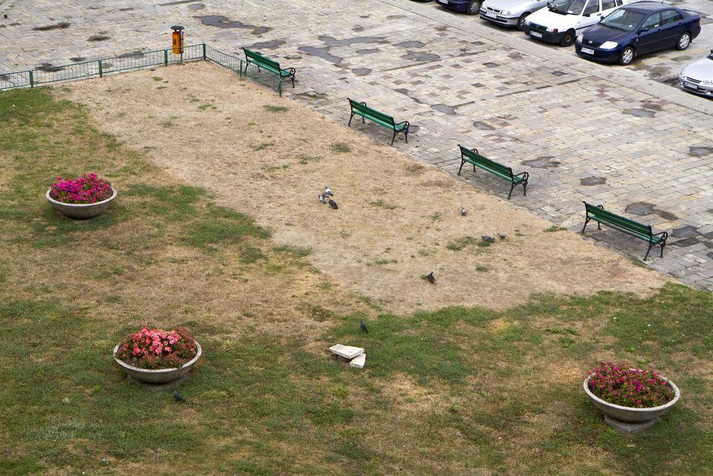 Na skwerku pomiędzy Rybim Placem a ulicą Ratuszową pojawił się regularny prostokąt zupełnie wyschniętej trawy. Okazuje się, że w tym miejscu stała kiedyś kamienica.<br/>fot.Jacek Szwic