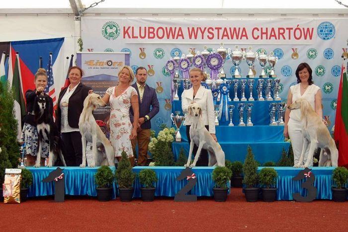 Właścicielka, Agnieszka Jędrzejczak z Przeworska może być dumna ze swoich chartów (trzecia  z prawej).<br/>fot.UM Przeworsk