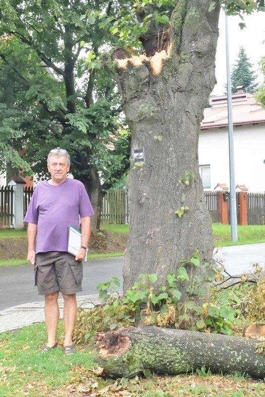 Liczymy, że wreszcie stara lipa zostanie wycięta.<br/>fot.Jacek Szwic
