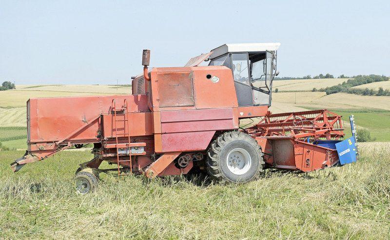 Gorsze od zakładanych plony przełożą się na ceny w sklepach. Niebawem więcej zapłacimy za chleb i przetwory z mąki.<br/>fot.zbiory własne
