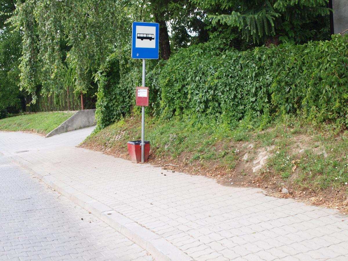 Przy ulicy Węgierskiej są aż cztery przystanki autobusowe. Żaden z nich nie jest wyposażony w wiatę.<br/>fot.Mariusz Godos
