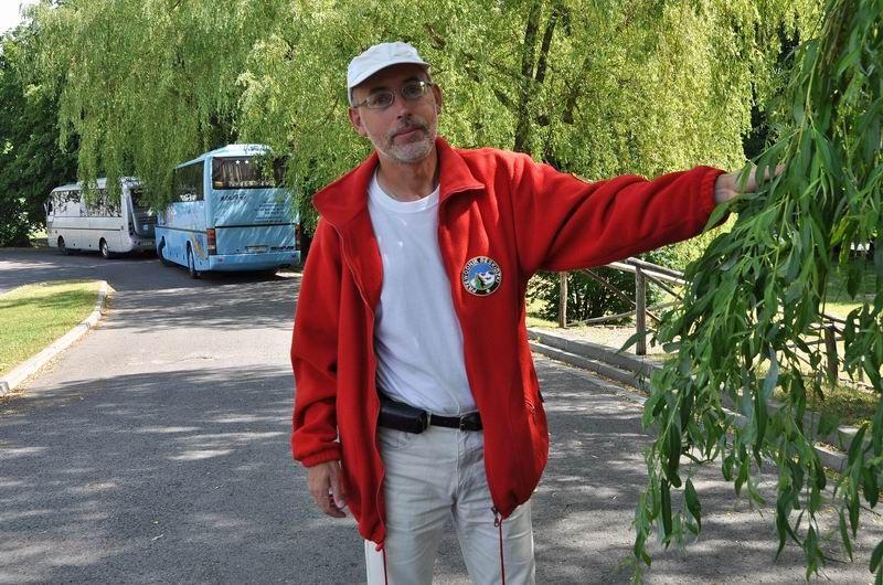 – Gałęzie sięgają niemal do ziemi i utrudniają życie kierowcom autokarów – zauważa przewodnik Jakub Kalinowski.<br/>fot.Paweł Bugira