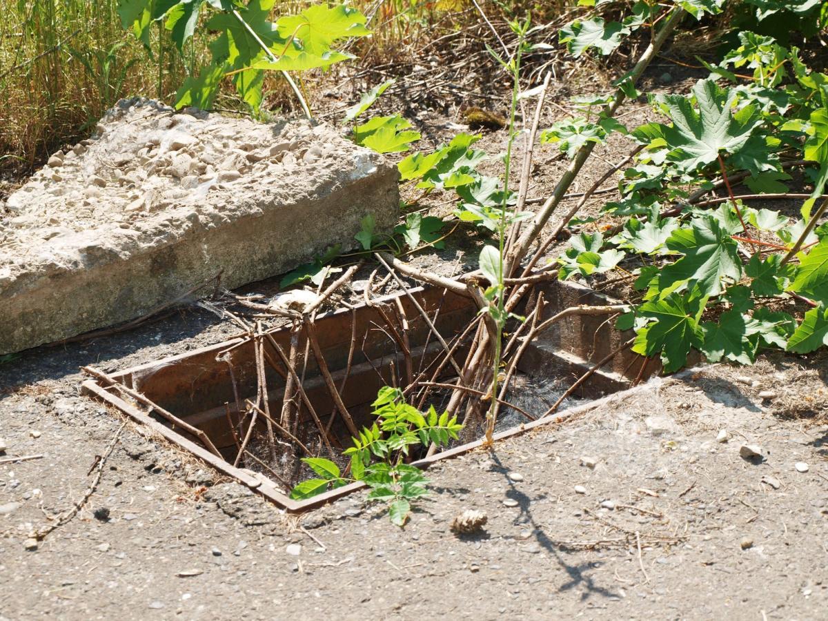Zarośnięte, odkryte studzienki to ogromne niebezpieczeństwo dla niezorientowanych w terenie, zwłaszcza małych dzieci. Jeden fałszywy krok może zakończyć się tragedią.<br/>fot.Mariusz Godos