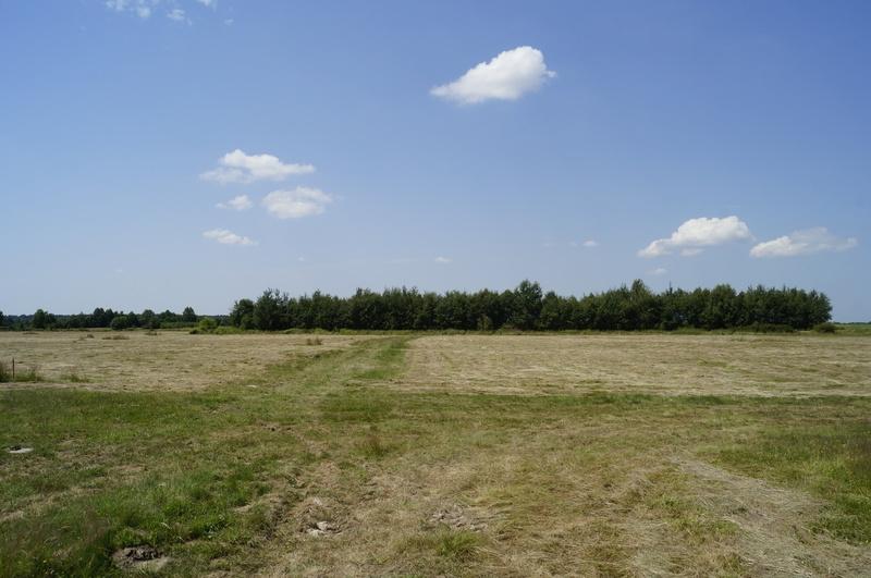 lubaczow.com.pl