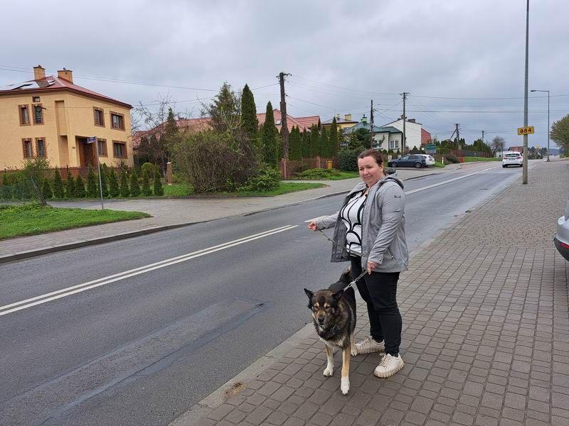 Na zdjęciu, wykonanym w poniedziałek, 17 kwietnia, pani Katarzyna pokazuje podwójną linię ciągłą przy swojej posesji, która od sierpnia ub. r. uniemożliwiała jej i jej najbliższym wyjazd w lewo, w kierunku ul. Grunwaldzkiej. Jeszcze tego samego dnia jej, trwające od sierpnia ub. r. boje o zmianę ozn