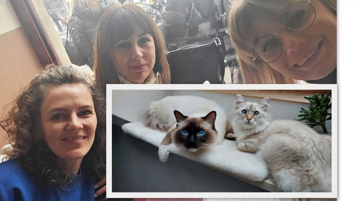 Dorota, Barbara i Katarzyna odwiedziły „Kociarnię” w Krakowie. Były zachwycone i zamarzyły, aby podobna powstała w Przemyślu. <br/>fot.ze zbiorów własnych