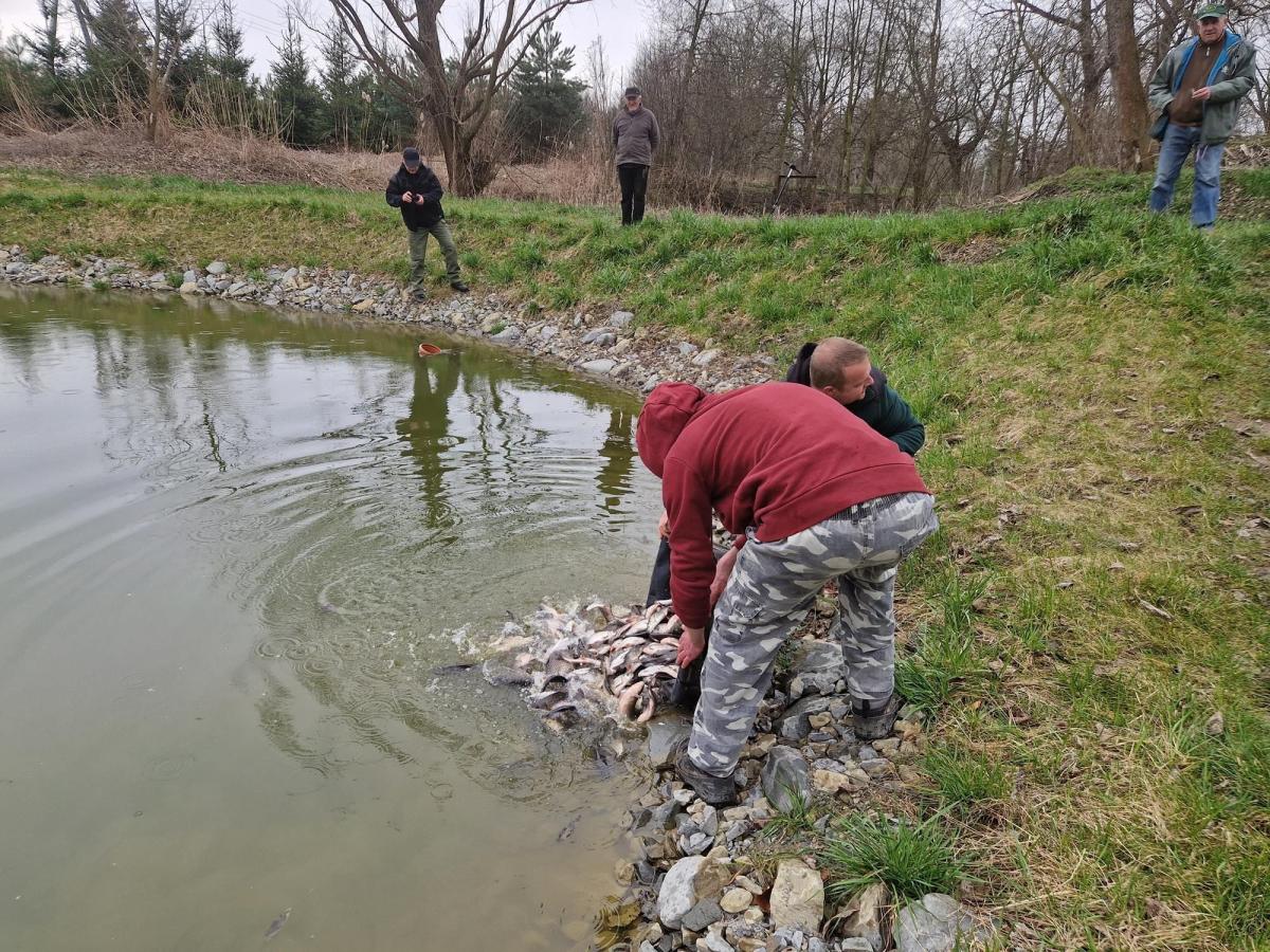 Stałych bywalców łowisk okręgu PZŁ w Przemyślu na pewno ucieszy informacja, że pod koniec marca do ich wód trafiła ponad tona 6 gatunków ryb. Dobrze zarybiony zbiornik przekłada się bowiem na dużą dawkę relaksu podczas wędkowania.


<br/>fot.PZW Przemyśl