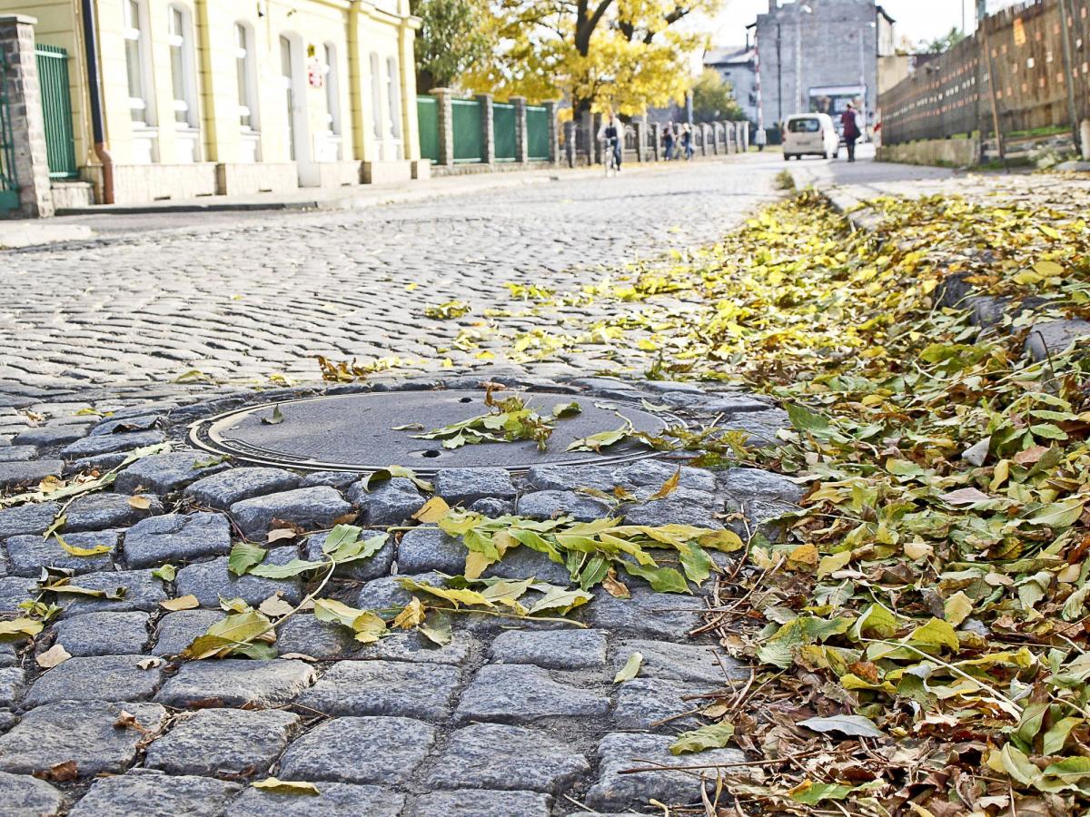 Nawierzchnia ulicy Mariackiej musi pozostać z kamiennej kostki. Taką decyzję wydała Podkarpacki Wojewódzki Konserwator Zabytków w Przemyślu Beata Kot. Rozbiórka istniejącej konstrukcji nawierzchni jezdni oraz ponowne ułożenie kostki kamiennej na podsypce cementowo-piaskowej i dwóch warstwach podbudo