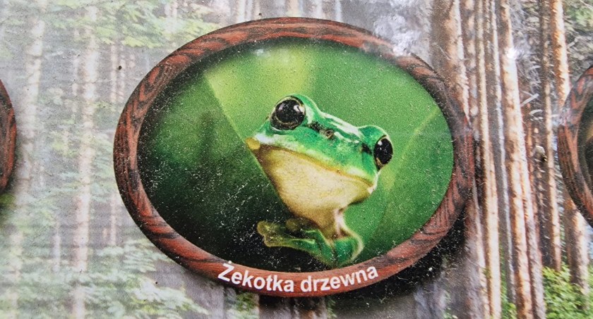 Tablica edukacyjna Nadleśnictwa Bircza, postawiona na ścieżce edukacyjnej w rezerwacie przyrody Krępak, ma sporo niedociągnięć. Znajdziemy na niej m.in. błąd ortograficzny.