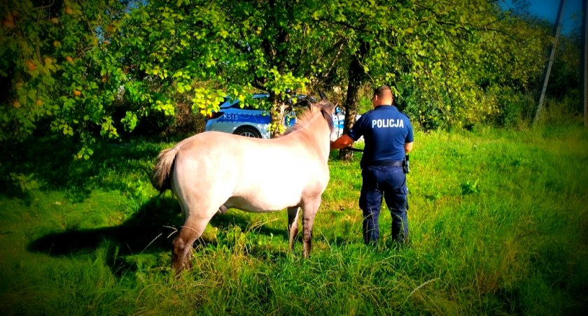fot. KPP Lubaczów