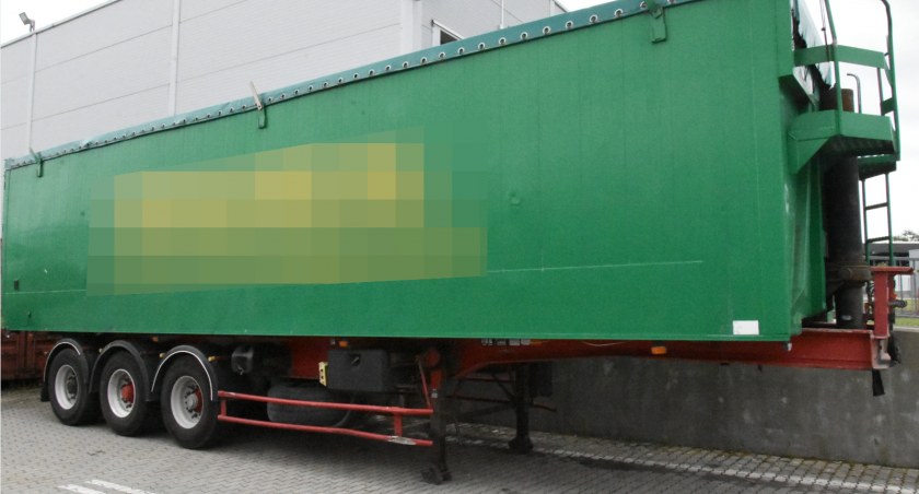 Zdjęcie: BiOSG 