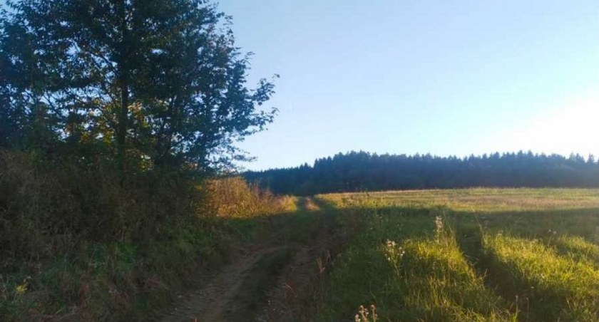Do poszukiwań 70-latka zaangażowane zostały służby./ Zdjęcie KMP Przemyśl