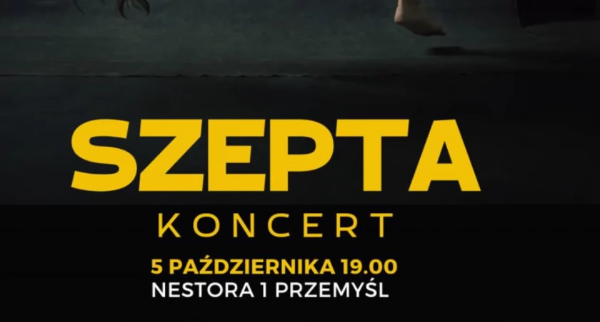 Oficjalny plakat koncertu.