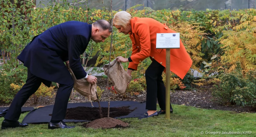 W ogrodach Pałacu Prezydenckiego w Warszawie prezydent Polski Andrzej Duda oraz jego małżonka Agata Kornhauser–Duda zasadzili drzewo. Sadzonka jabłoni pochodziła z Arboretum w Bolestraszycach w gminie Żurawica. Akcja „Po owocach ich poznacie” nawiązuje do zainteresowań Józefa Ulmy, który pasjonował się sadownictwem i prowadził szczepienia drzew jabłoni. Fot. Grzegorz Jakubowski/KPRP