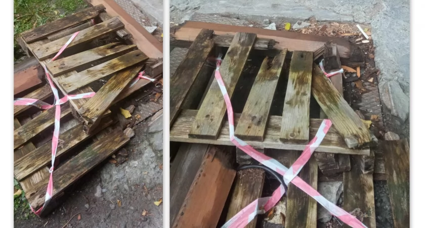 wysłane przez Czytelniczkę
