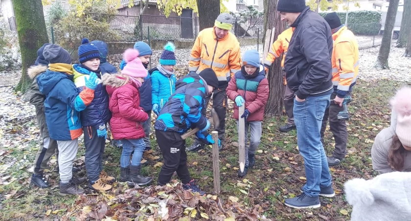 Dzięki uczniom  jarosławskiej SP 1 jeże otrzymały wspaniały dom z liści. Fot. SP 1 Jarosław