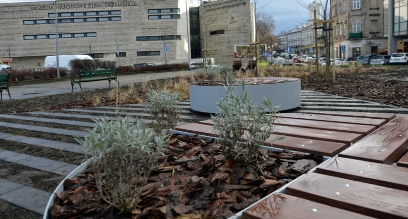 Koszt pracy przy skwerze wyniósł 129 tys. 150 zł. W ramach projektu zagospodarowana została powierzchnia ok. 450 m kwadratowych. Fot. UM Przemyśl