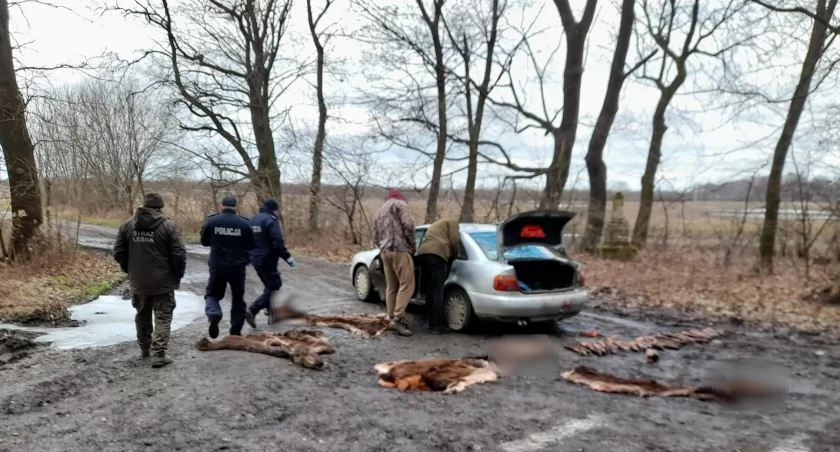 Zdjęcia: Arch., KP Radymno i Straż Leśna Nadl. Jarosław