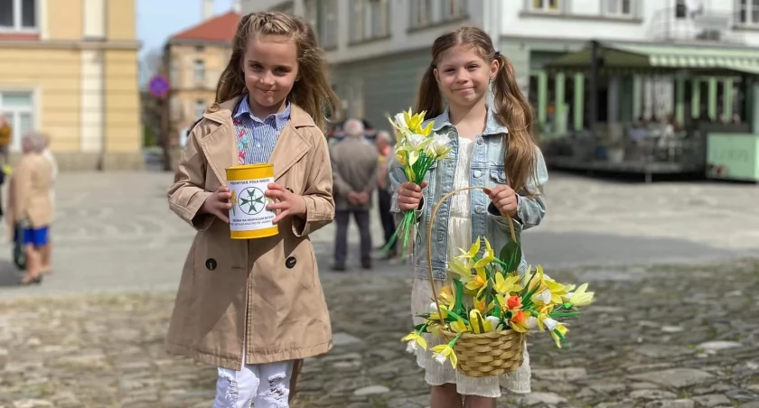 Bibułowe żonkile rozdawali darczyńcom także najmłodsi. Fot. Michał Morawski