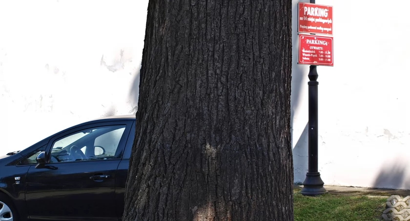 Na parkingach przy ul. Grodzkiej miejsca parkingowe znalazłyby się dla ponad 30 samochodów. Fot. Mariusz Godos