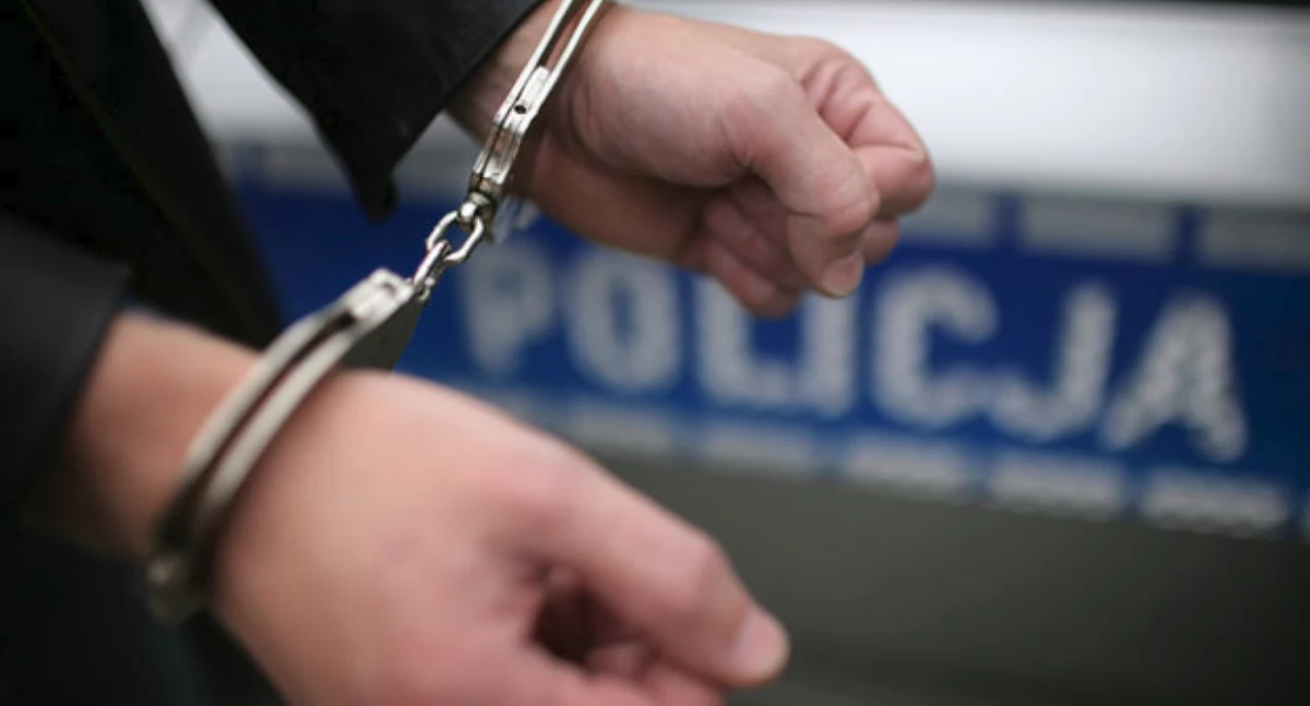 Sprawcę kolizji zatrzymano i przewieziono do aresztu. / FOT. archiwum policji