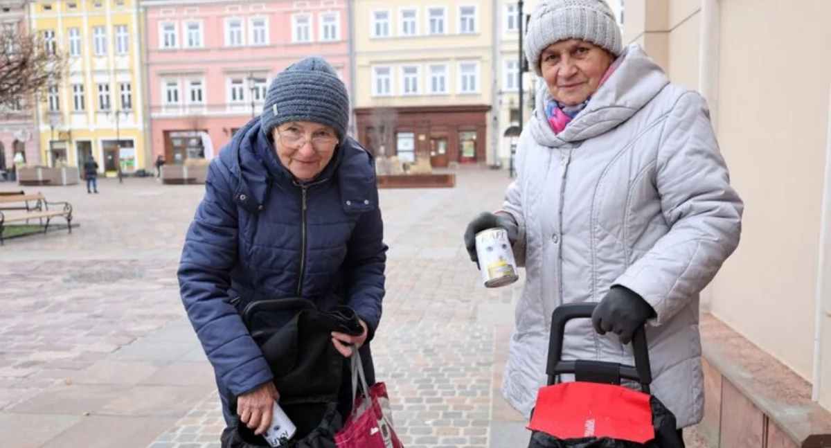 Kolejny raz w tym roku dla wolno żyjących kociaków bytujących na terenie miasta zakupiona została karma, którą przekazano niedawno na ręce 23 społecznych opiekunów zwierząt. / FOT. UM Jarosław