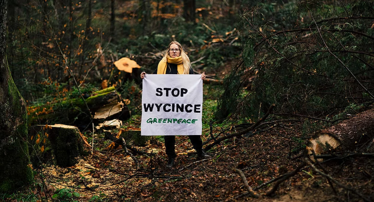 Greenpeace w połowie listopada br. wezwał Komisję Europejską i rządy państw członkowskich do zainicjowania procesu na rzecz utworzenia największego europejskiego parku chroniącego przyrodę. Działacze organizacji chcieliby go stworzyć w Karpatach. Fot. www.greenpeace.pl