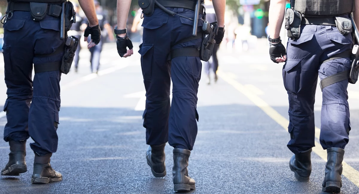 Kronika policyjna, Wpadł dołu lesie Szczęśliwy finał poszukiwań latka - zdjęcie, fotografia