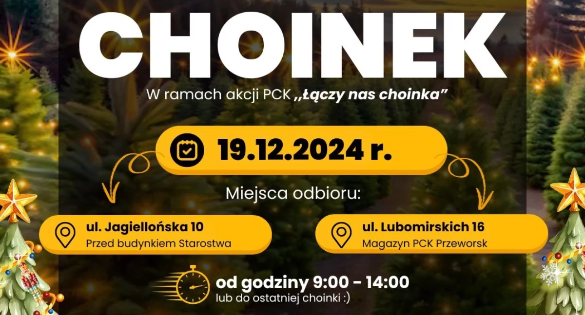 Akcje społeczne, Mieszkasz powiecie przeworskim Odbierz darmową choinkę! - zdjęcie, fotografia