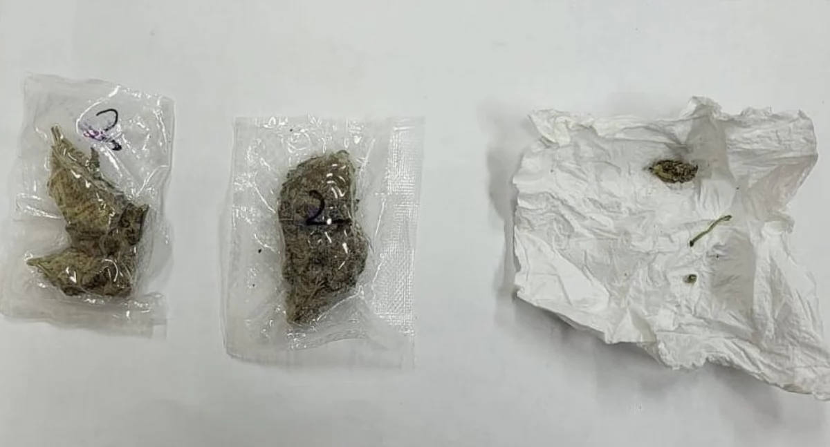 Przy mężczyźnie znaleziono  woreczki z suszem roślinnym, którym okazała się marihuana./ FOT. KPP Jarosław
