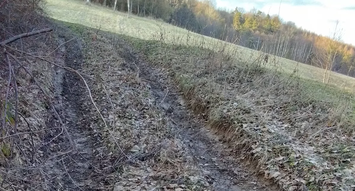 Jak podkreśla mieszkaniec, aktualnie droga w Piątkowej jest przejezdna tylko, kiedy jest mróz bądź susza, i to dla motorów terenowych, które poradzą sobie na koleinach i błocie, jakie występuje na pewnym odcinku tej trasy./ FOT. ZW
