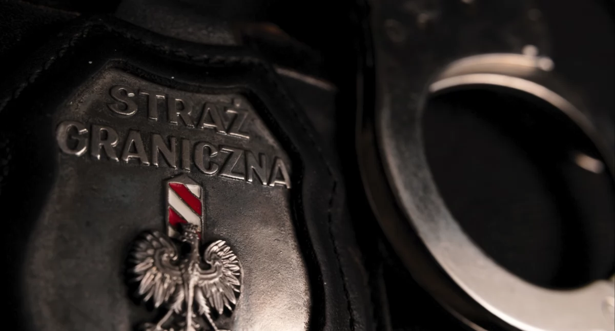 Na granicy: Straż Graniczna, KAS, Zatrzymano kobietę działającą zorganizowanej grupie przestępczej handlującej ludzkimi narządami - zdjęcie, fotografia