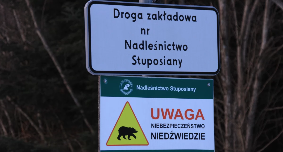 Fot. RDLP w Krośnie